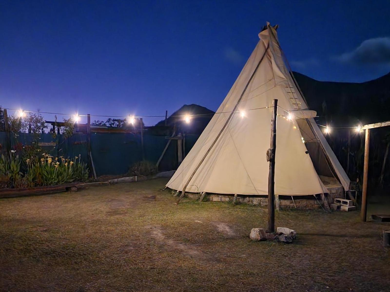 Tsitsikamma Wolf Sanctuary Eco Cabins & Teepees Stormsrivier Exterior foto