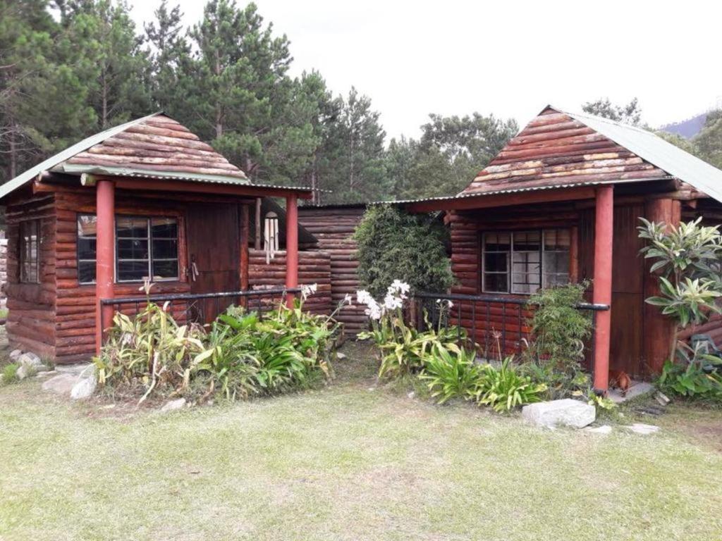 Tsitsikamma Wolf Sanctuary Eco Cabins & Teepees Stormsrivier Exterior foto