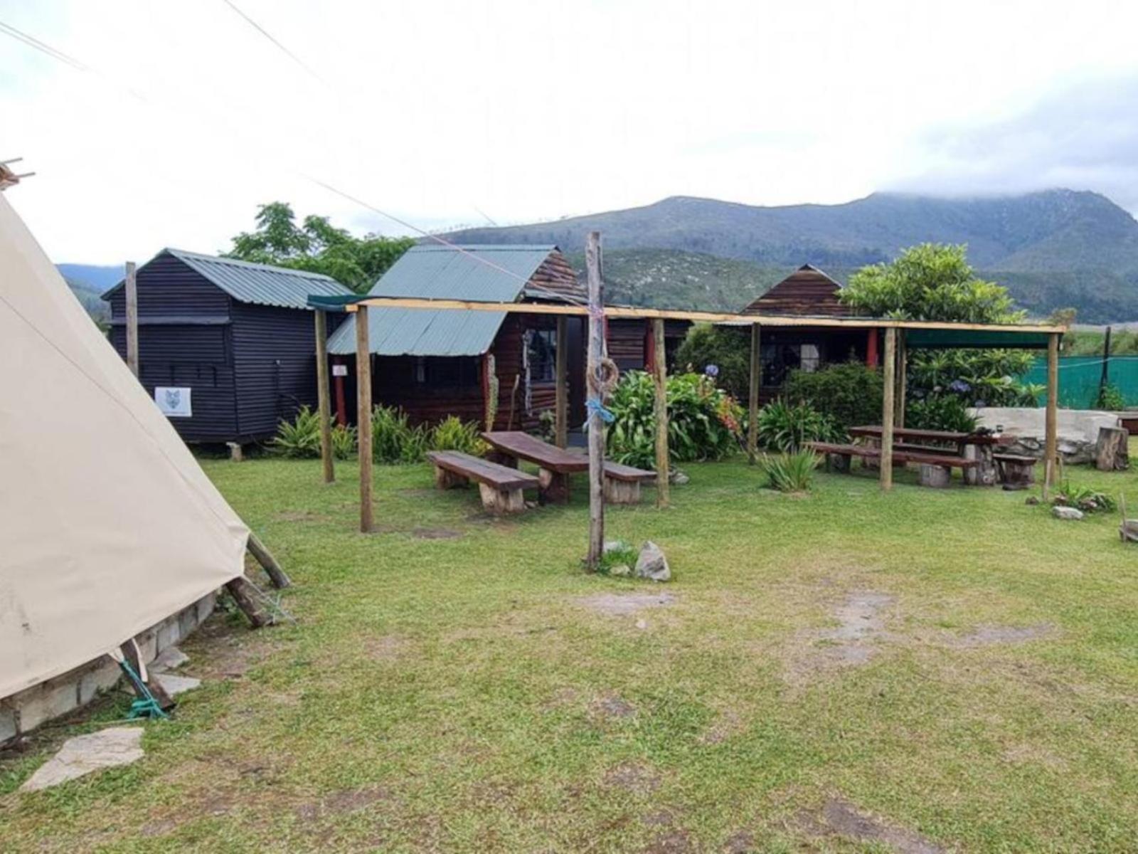 Tsitsikamma Wolf Sanctuary Eco Cabins & Teepees Stormsrivier Exterior foto