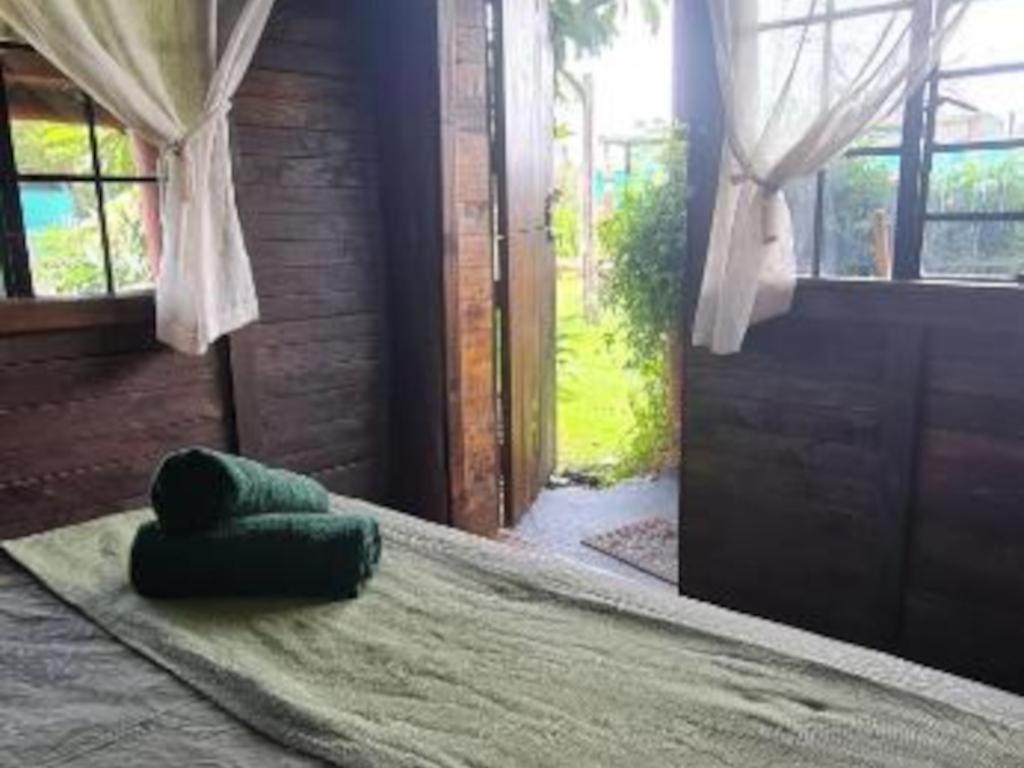 Tsitsikamma Wolf Sanctuary Eco Cabins & Teepees Stormsrivier Habitación foto