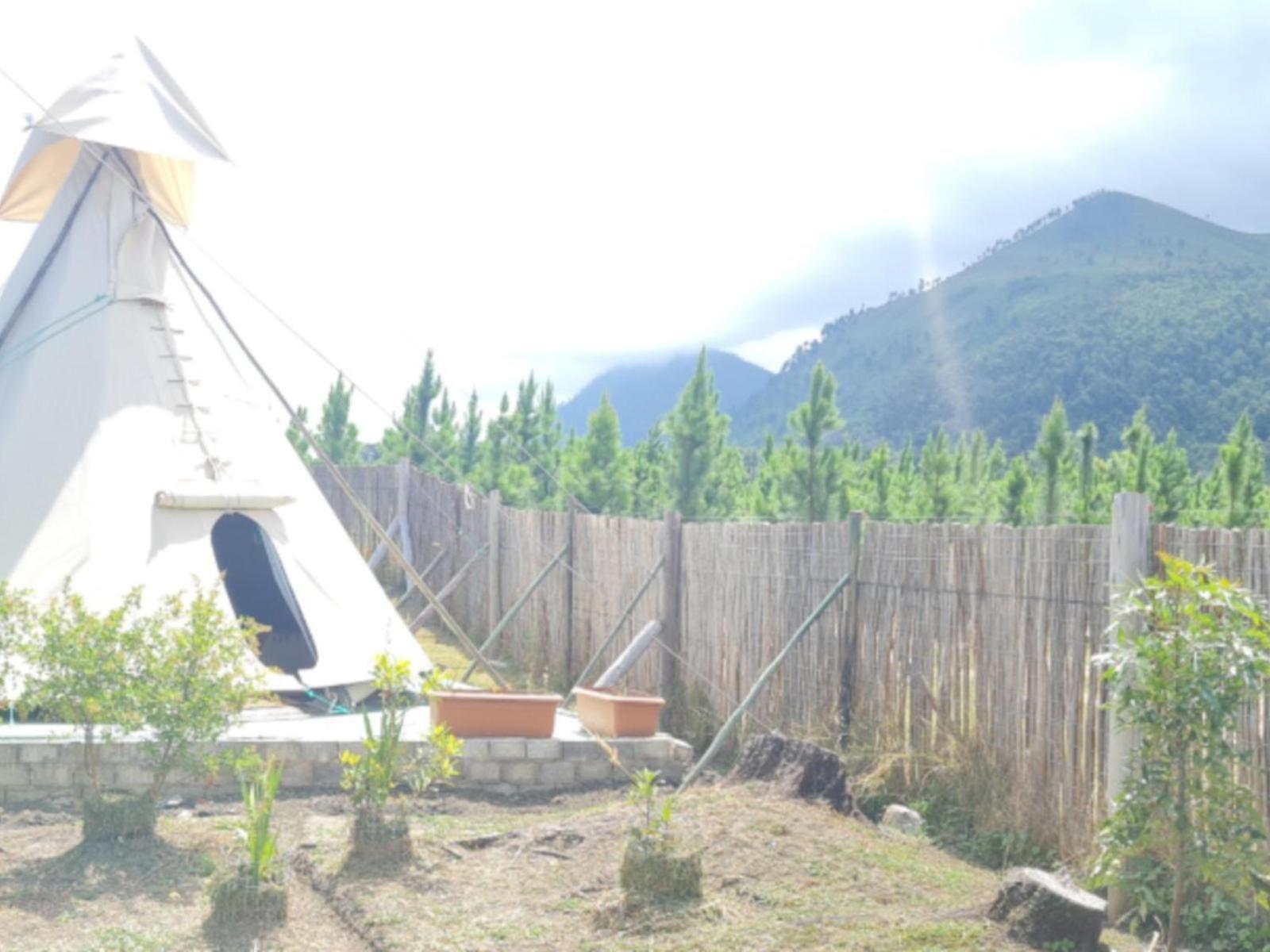 Tsitsikamma Wolf Sanctuary Eco Cabins & Teepees Stormsrivier Habitación foto